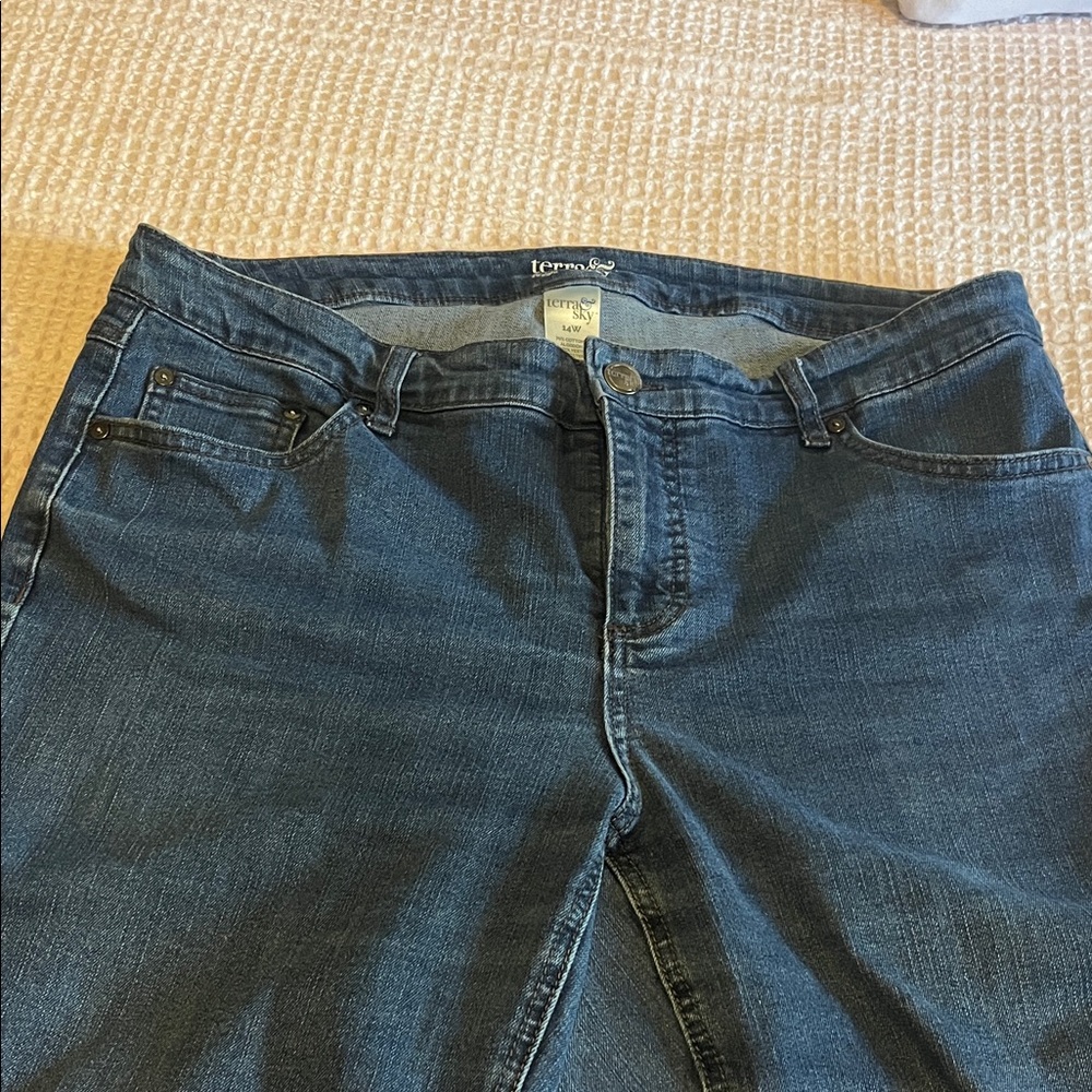 Terra & Sky Dark Blue Denim Straight Jeans